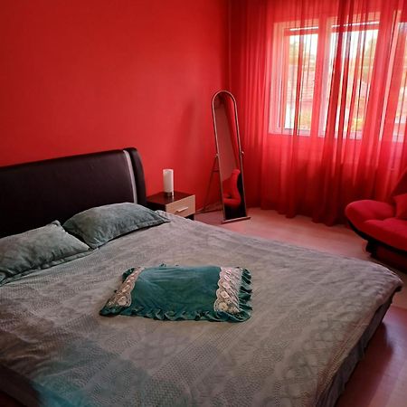 Apartament Cu Terasa La Casa Tina Timisoara Bilik gambar