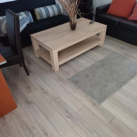 Apartament Cu Terasa La Casa Tina Timisoara Luaran gambar