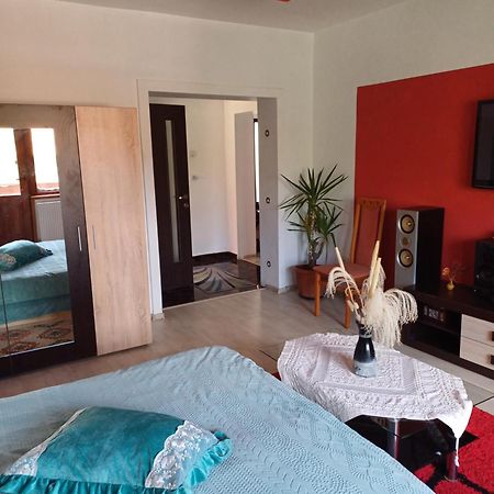 Apartament Cu Terasa La Casa Tina Timisoara Luaran gambar