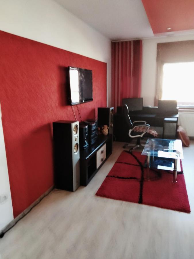 Apartament Cu Terasa La Casa Tina Timisoara Luaran gambar