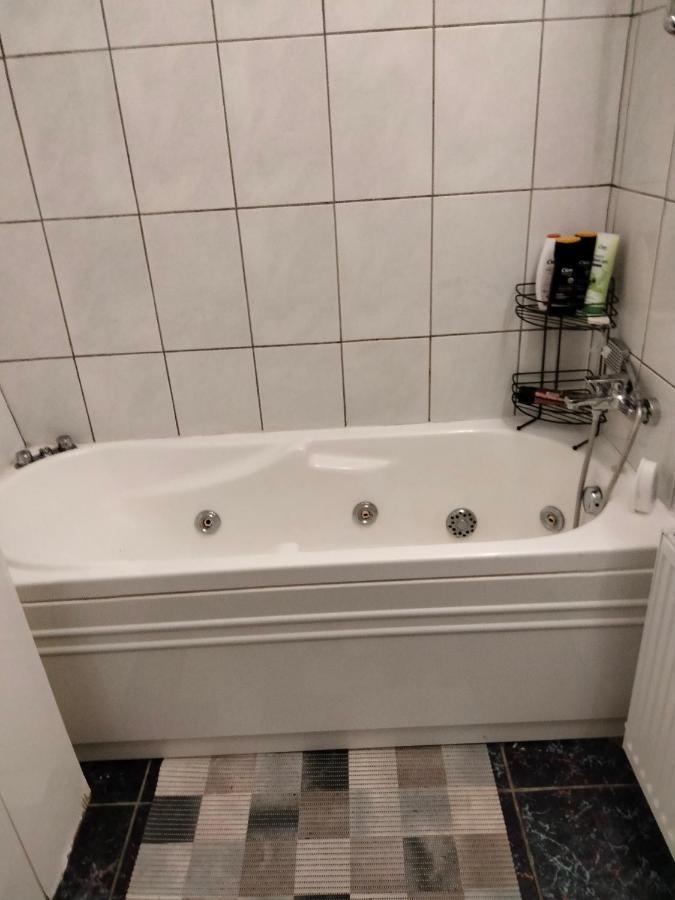 Apartament Cu Terasa La Casa Tina Timisoara Luaran gambar