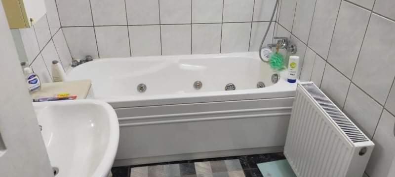 Apartament Cu Terasa La Casa Tina Timisoara Luaran gambar