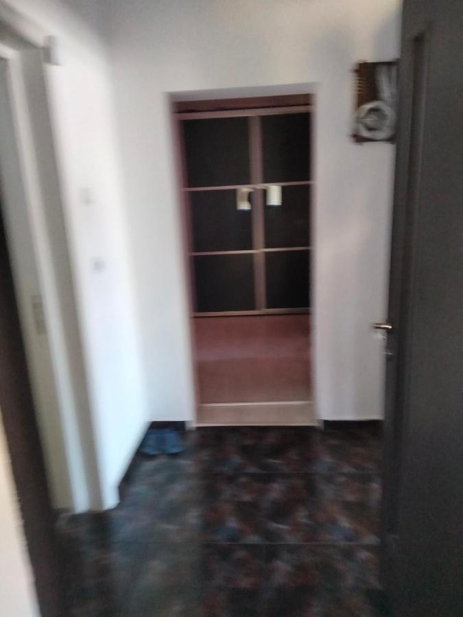 Apartament Cu Terasa La Casa Tina Timisoara Luaran gambar