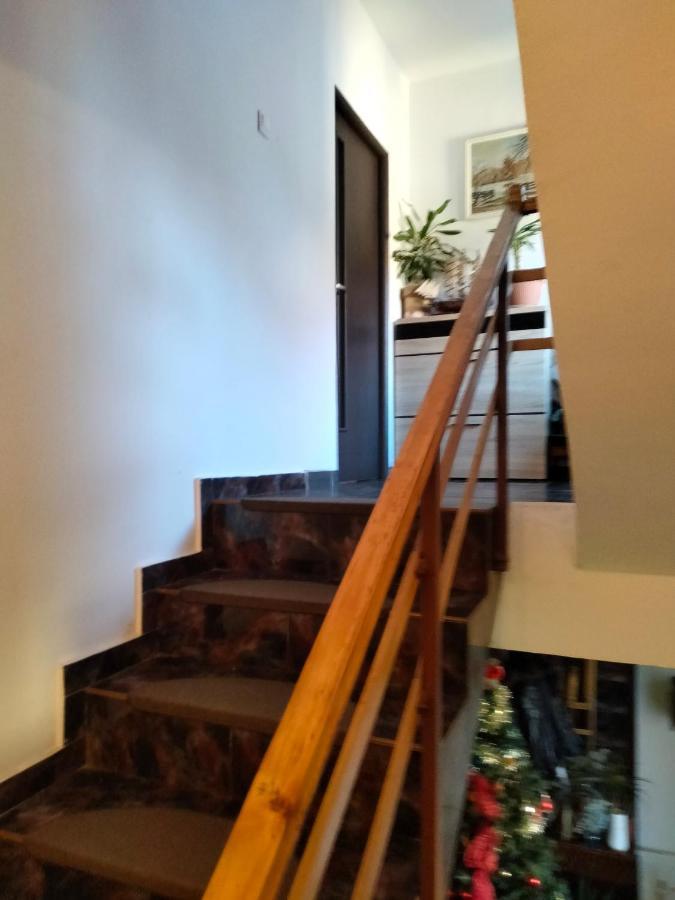Apartament Cu Terasa La Casa Tina Timisoara Luaran gambar