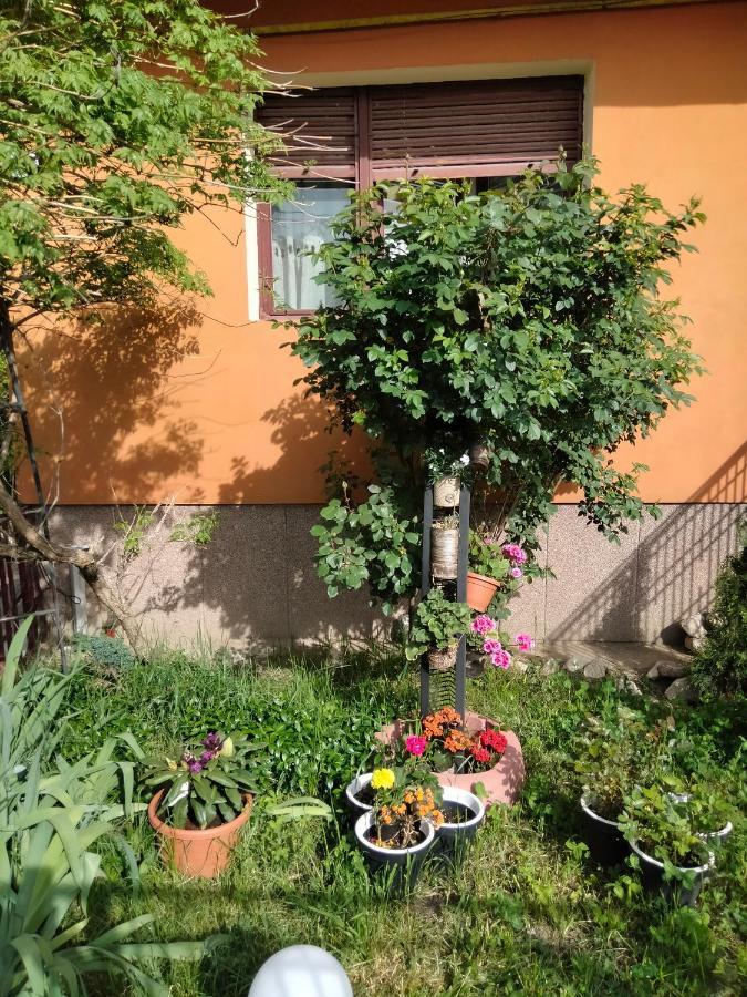 Apartament Cu Terasa La Casa Tina Timisoara Luaran gambar