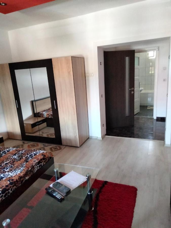 Apartament Cu Terasa La Casa Tina Timisoara Luaran gambar