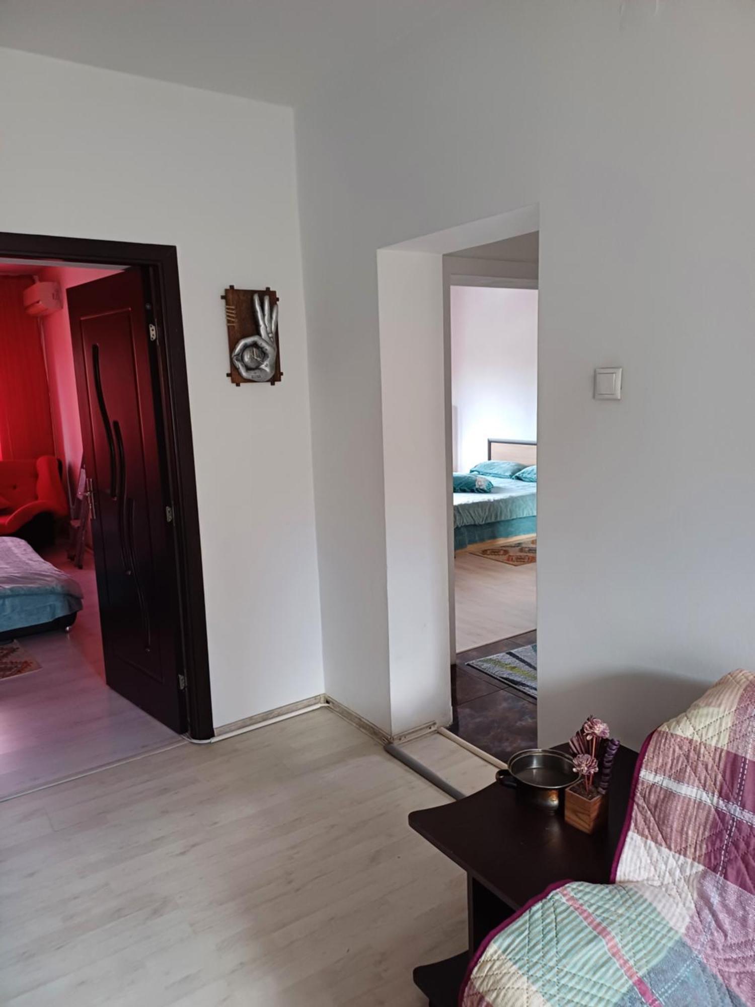 Apartament Cu Terasa La Casa Tina Timisoara Luaran gambar
