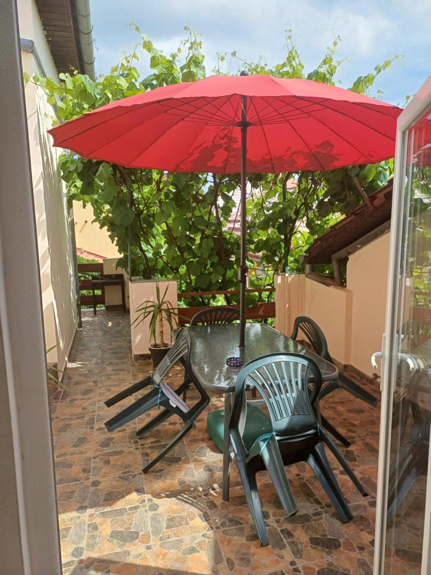 Apartament Cu Terasa La Casa Tina Timisoara Luaran gambar