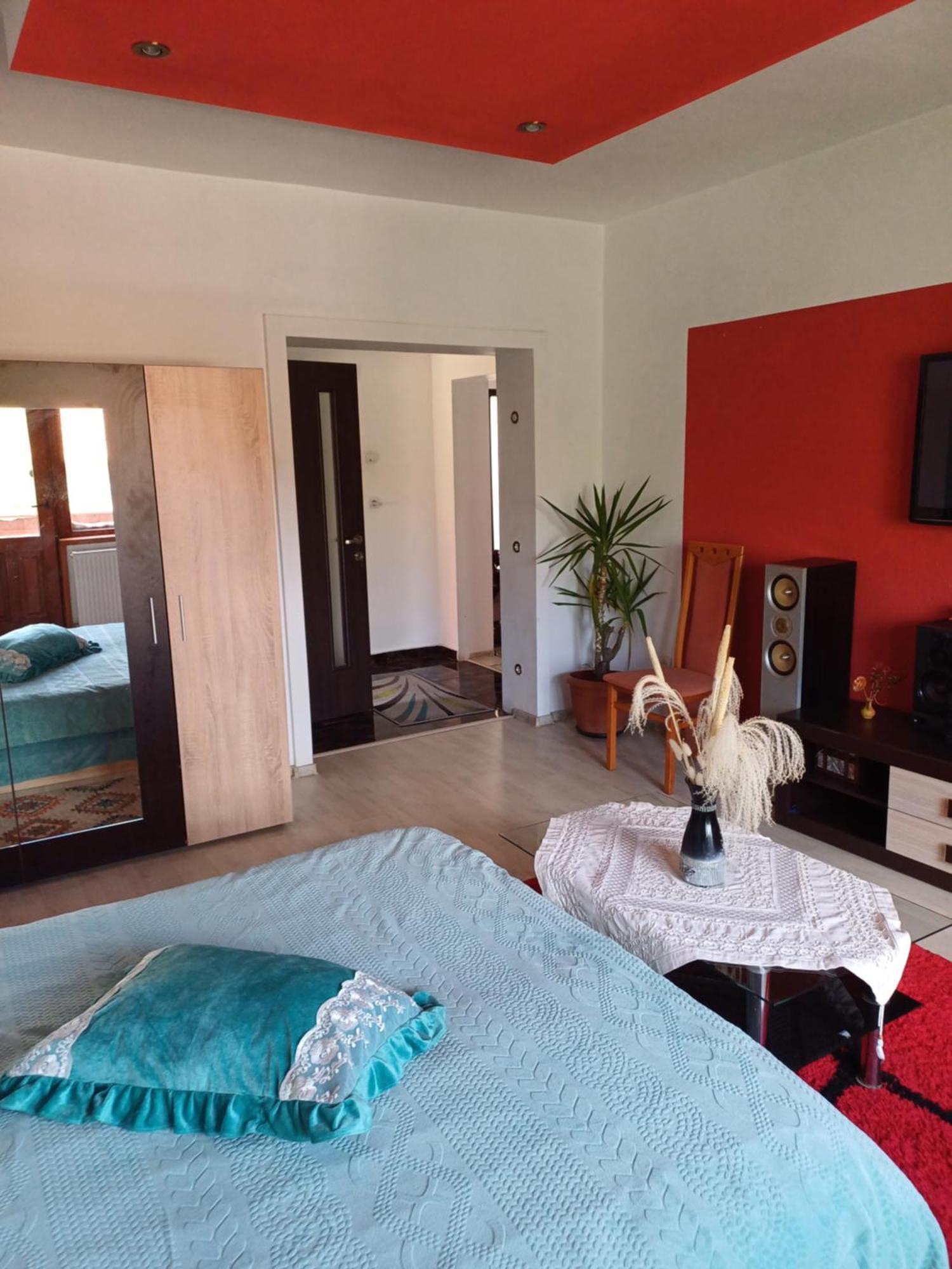 Apartament Cu Terasa La Casa Tina Timisoara Luaran gambar